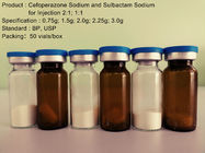 Kuru Toz Sefoperazon Sulbaktam Enjeksiyonu, Sefalosporin Antibiyotikler
