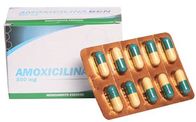 Amoksisilin Tabletleri 500mg Yarı Sentetik Antibiyotik İlaca Dirençli Bakteriler